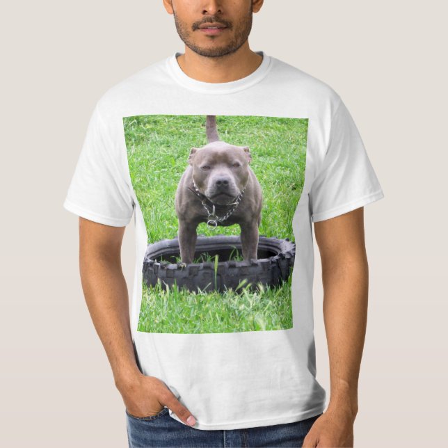 Camiseta Adulto Male Staffordshire Bull Terrier, (Frente)
