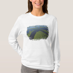 Camiseta Aérea do Arquipélago de Anavilhanas, Inundado