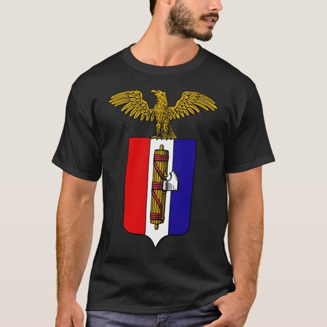 Camiseta AfA:Alternativo para a América (Frente)