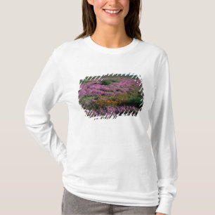 Camiseta África, África do Sul, Namaqualândia, Laranja e