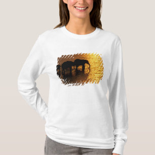 Camiseta África, Botsuana, Delta do Okavango. Africano