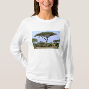 Camiseta África, Botsuana, Delta do Okavango. Sul