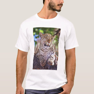 Camiseta África, Botsuana, Delta do Okvango, leopardo selva