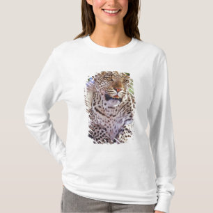 Camiseta África, Botsuana, Delta do Okvango, leopardo selva