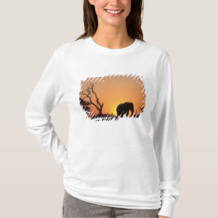 Camiseta África, Botsuana, Parque Nacional Chobe, Cenário