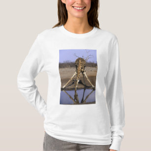 Camiseta África, Botsuana, Parque Nacional Chobe, Girafa