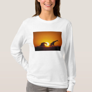 Camiseta África, Botsuana, Parque Nacional Chobe, Girafa 2