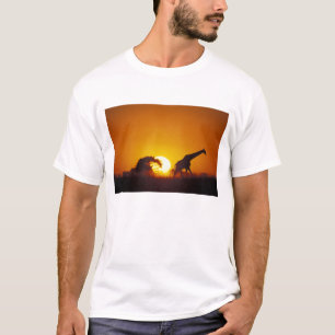 Camiseta África, Botsuana, Parque Nacional de Chobe, Girafa