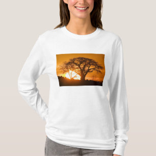 Camiseta África, Botsuana, Sol poente silhueta Baobab