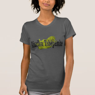 Camiseta África do Sul