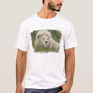 Camiseta África do Sul, East London, Inkwenkwezi Private