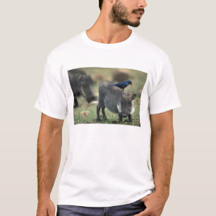 Camiseta África do Sul, Pilanesburg GR, Facão