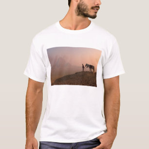 Camiseta África, Egito, Cairo, Gizé, pirâmides de Gizé em