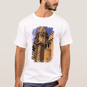 Camiseta África, Egito, Cairo, Heliopolis. Barão