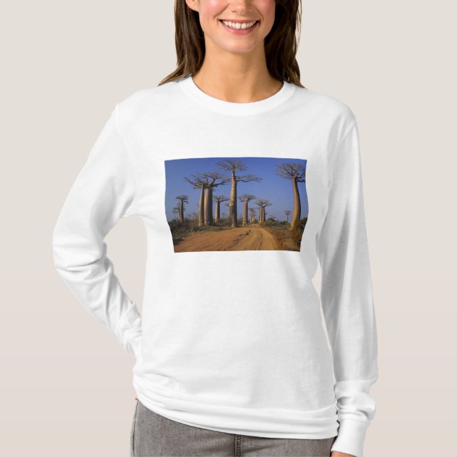 Camiseta África, Madagáscar, Morondava, Avenida Baobab. (Frente)