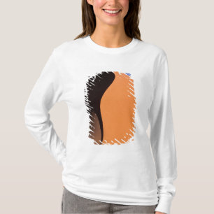 Camiseta África, Namíbia, Luz da tarde nas dunas,