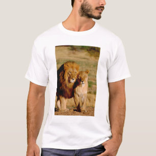 Camiseta África, Namíbia, Okonjima. Leão & leoa