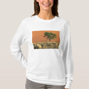 Camiseta África, Namíbia, Parque Nacional do Namibe, Sossus