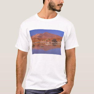 Camiseta África, Namíbia. Parque Namib-Naukluft. 2