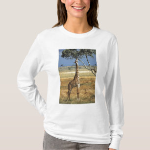 Camiseta África, Quênia, Amboseli NP. Um Girafa-comum, ou m