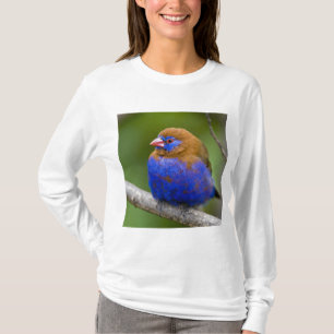 Camiseta África. Quênia. Grenadier Roxo