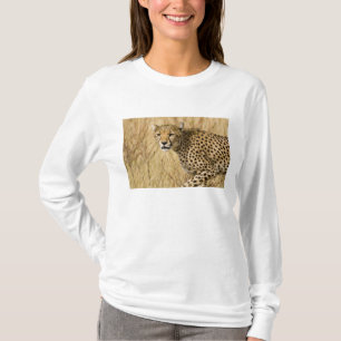 Camiseta África. Quênia. Guepardo no Parque Nacional Sambur