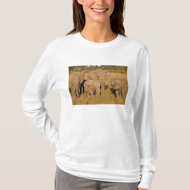 Camiseta África, Quênia, Masai Mara. Elefante Africano (Frente)