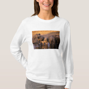 Camiseta África, Quênia, Masai Mara. Elefantes (Loxodonta