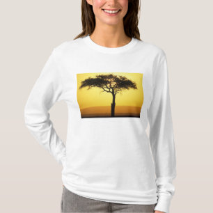 Camiseta África, Quênia, Masai Mara Game Reserve, Ascens