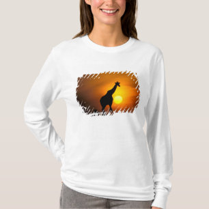Camiseta África, Quênia, Masai Mara. Girafa (Giraffa