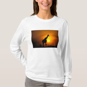 Camiseta África, Quênia, Masai Mara. Girafa (Giraffa