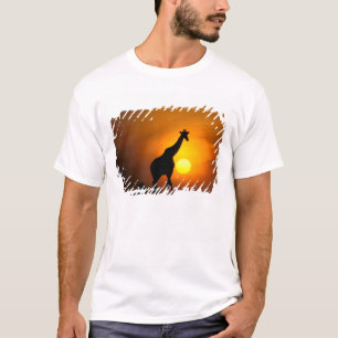 Camiseta África, Quênia, Masai Mara. Girafa (Giraffa
