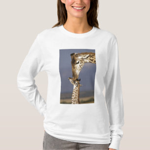 Camiseta África, Quênia, Masai Mara. Girafas (Girafa)