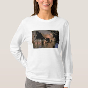 Camiseta África, Quênia, Masai Mara. Hipopótamos-comuns