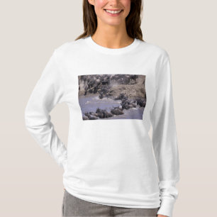 Camiseta África, Quênia, Masai Mara National Park.