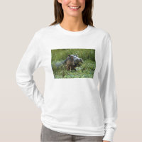 África, Quênia, Masai Mara NR. Uma mãe hipopótamo