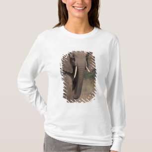 Camiseta África, Quênia, Nanyuki, Mpala. Elefante-africano.