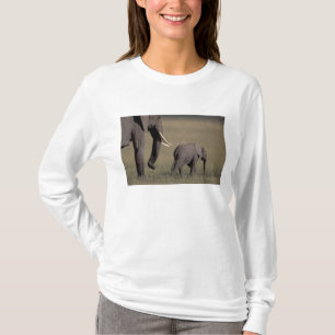 Camiseta África, Quênia, Parque Nacional de Amboseli. Afric