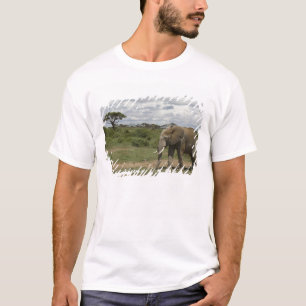 Camiseta África, Quénia, Parque Nacional de Amboseli, elefa