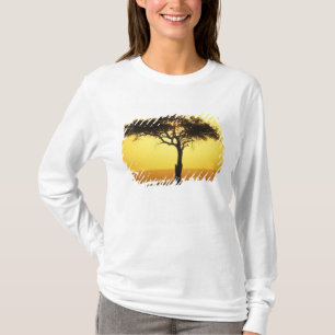 Camiseta África, Quênia, Reserva de Caça Masai Mara, Nascen