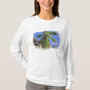Camiseta África, Seychelles, Ilha La Digue. Granito 2