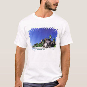 Camiseta África, Seychelles, Ilha La Digue. Granito 3