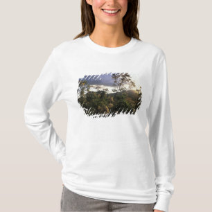 Camiseta África, Tanzânia, Área de Conservação de Ngorongor