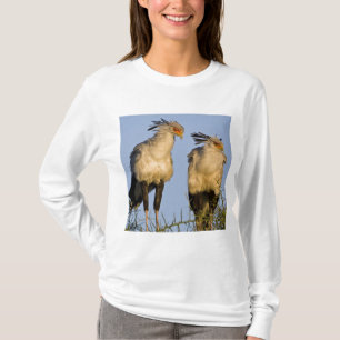 Camiseta África. Tanzânia. Aves-secretárias em Ndutu