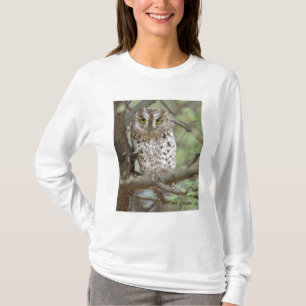 Camiseta África. Tanzânia. Coruja-pequena-africana em Taran