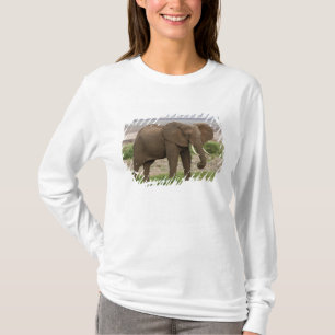 Camiseta África. Tanzânia. Elefante no Parque Nacional do L