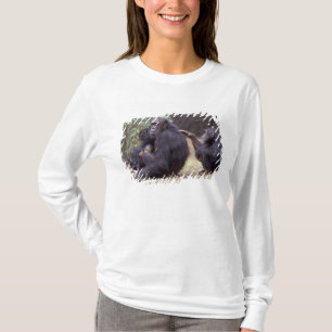 Camiseta África, Tanzânia, Gombe NP fêmea infantil