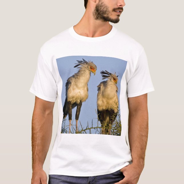 Camiseta África. Tanzânia. Secretaria de Aves em Ndutu (Frente)