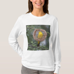 Camiseta África. Tanzânia. Tecelão-de-pescoço-preto fêmea