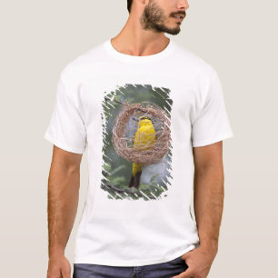 Camiseta África. Tanzânia. Tecelão-de-pescoço-preto fêmea